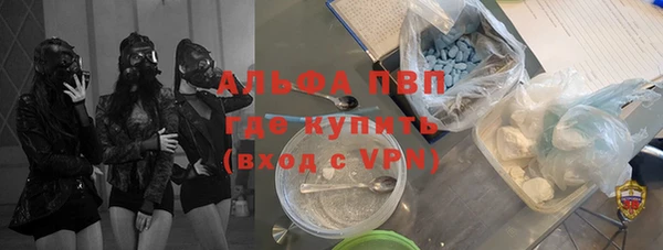 ПСИЛОЦИБИНОВЫЕ ГРИБЫ Магас