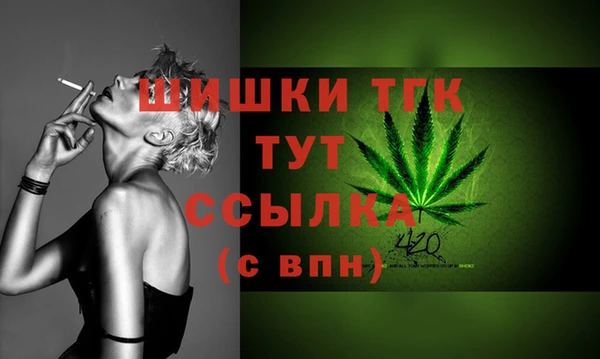 ПСИЛОЦИБИНОВЫЕ ГРИБЫ Магас