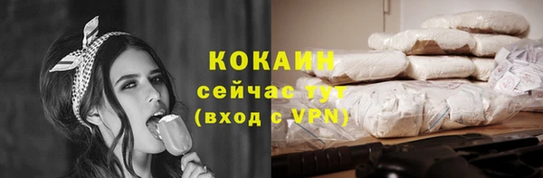 ПСИЛОЦИБИНОВЫЕ ГРИБЫ Магас