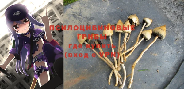 ПСИЛОЦИБИНОВЫЕ ГРИБЫ Магас