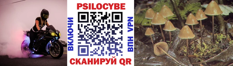 как найти закладки  hydra рабочий сайт  Псилоцибиновые грибы Cubensis  Шахунья 
